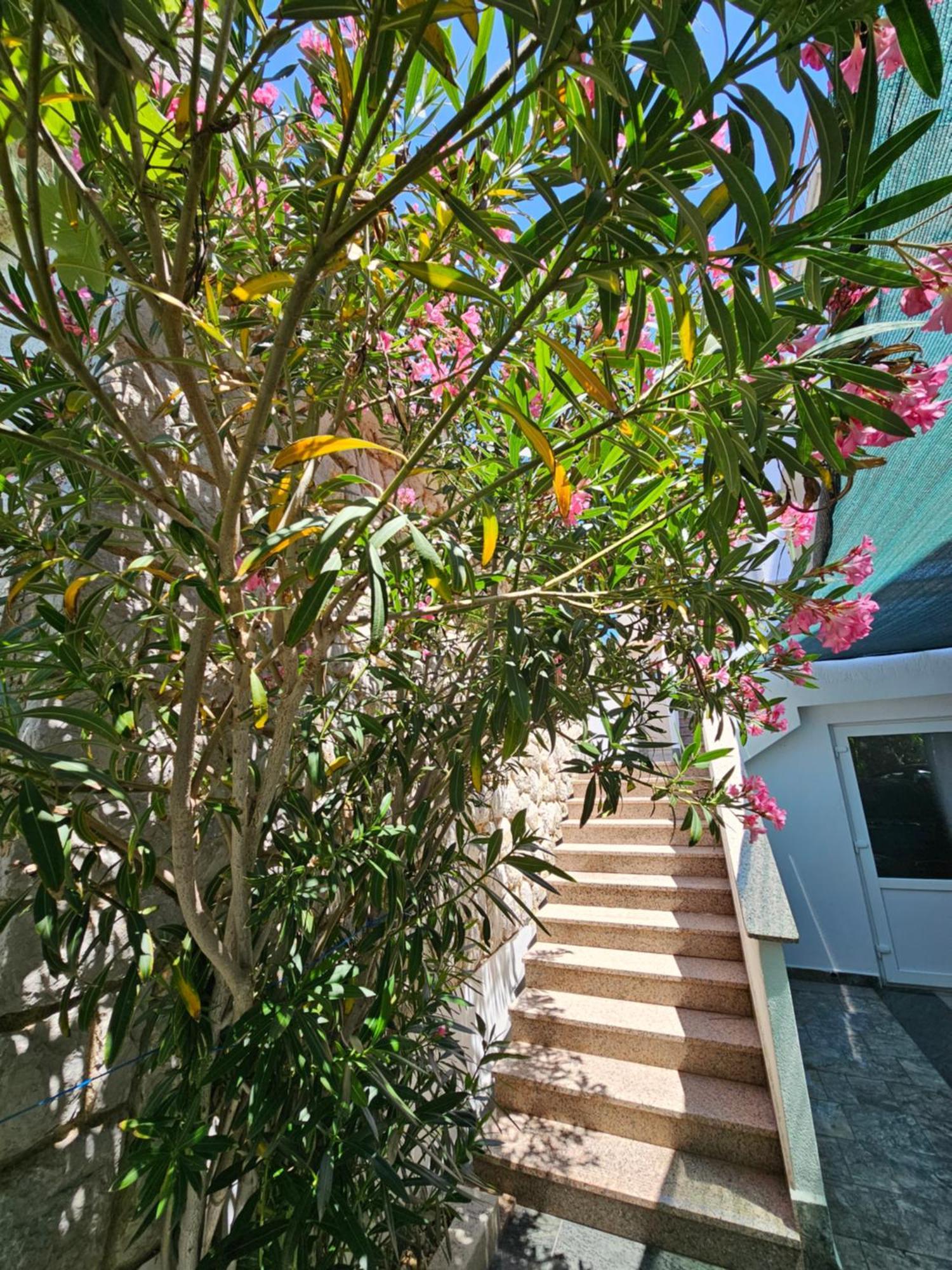 Apartments Bahar Krk 克尔克 外观 照片